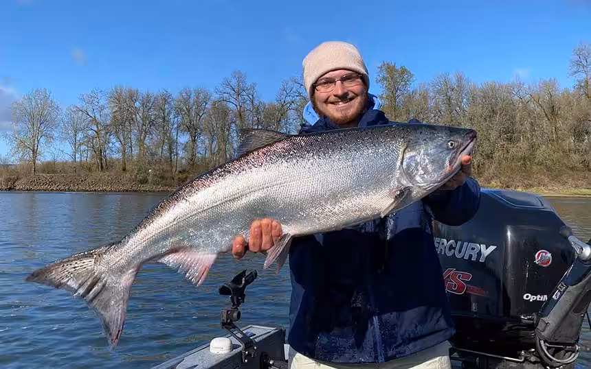 bx-chinook-salmon-1 Spring Salmon are also Known as “Springers”