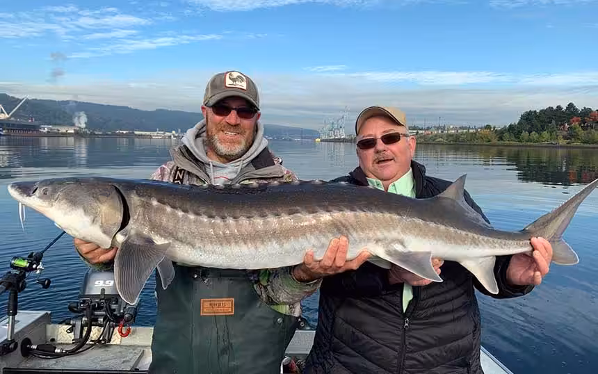 bx-sturgeon-fishing-2 expert columbia river fishing guides lead sturgeon fishing trips on the Columbia River