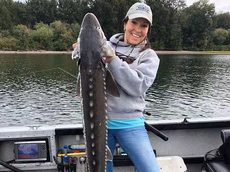 A woman displays a large Pacific Northwest sturgeon on a boat