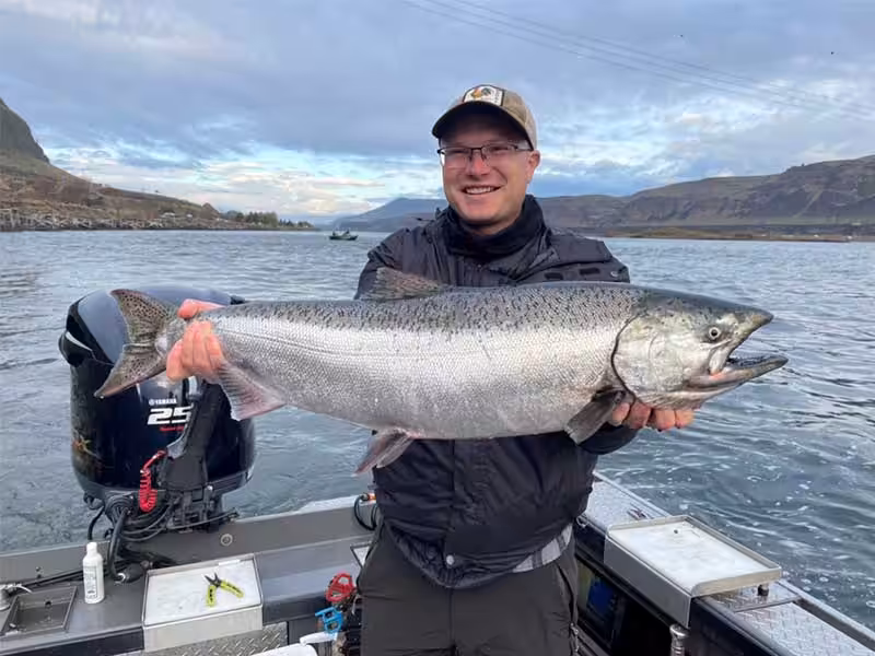 Chinook Salmon Columbia River
