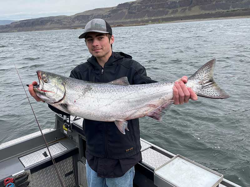 Chinook Salmon Astoria