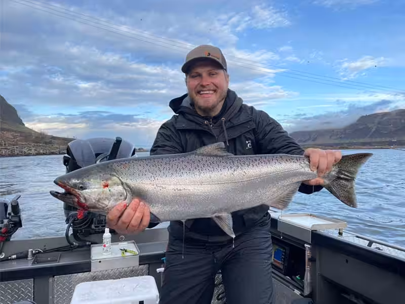 Chinook salmon bag limit
