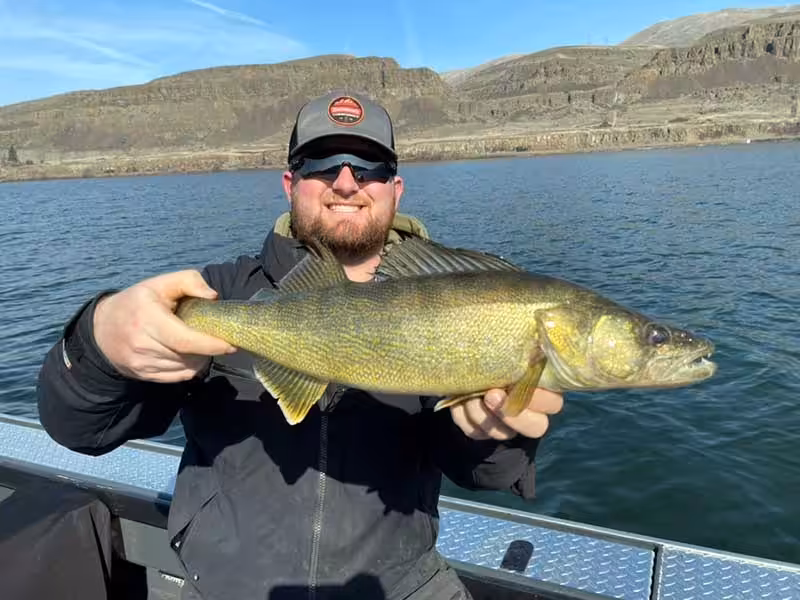 Walleye report on the Columbia River