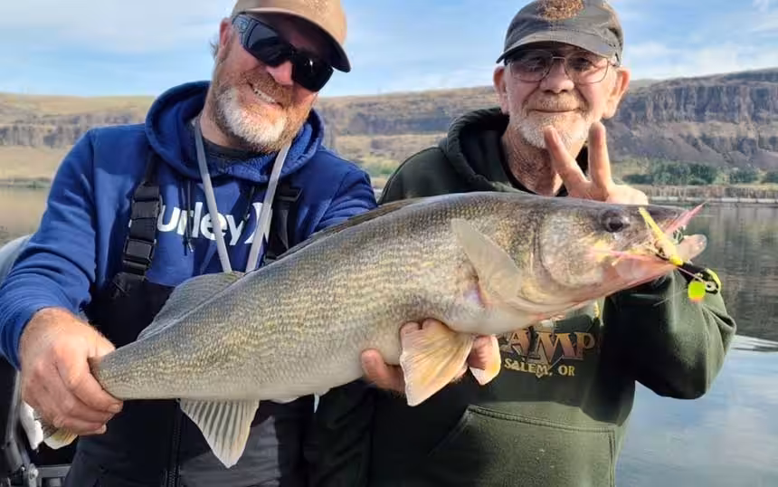 walleye-2023-columbia Trophy Size Walleye Fishing on the Columbia