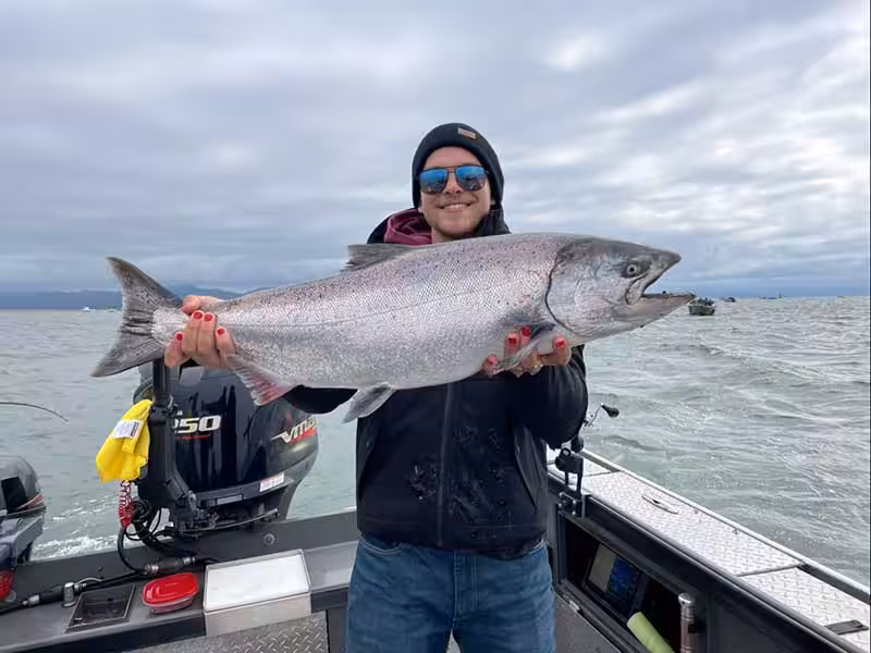 Chinook salmon in Astoria Oregon