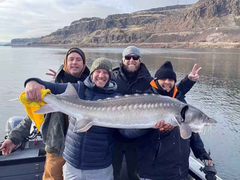 Sturgeon on the Columbia River