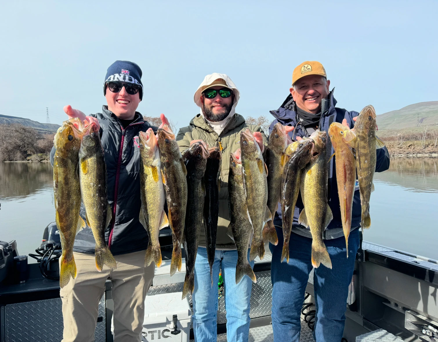 Three men holding several large fish each showcasing Guided Walleye Fishing.
