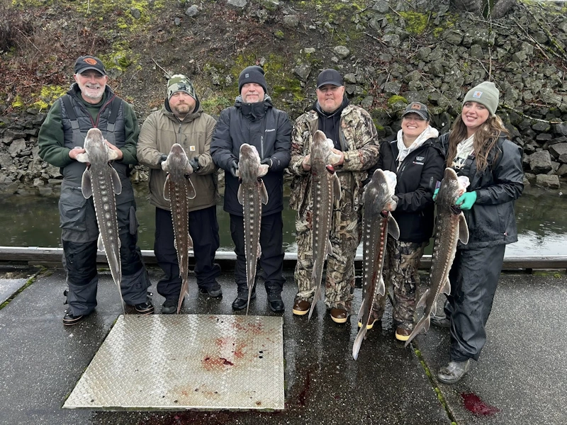 Happy angler with a keeper sturgeon caught during the dalles pool sturgeon fishing retention days