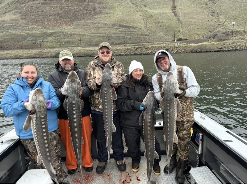 Columbia River Fishing Adventures guides Buddy and Travis displaying a legal keeper caught during the one-day sturgeon fishing Columbia River 2026 retention opener.
