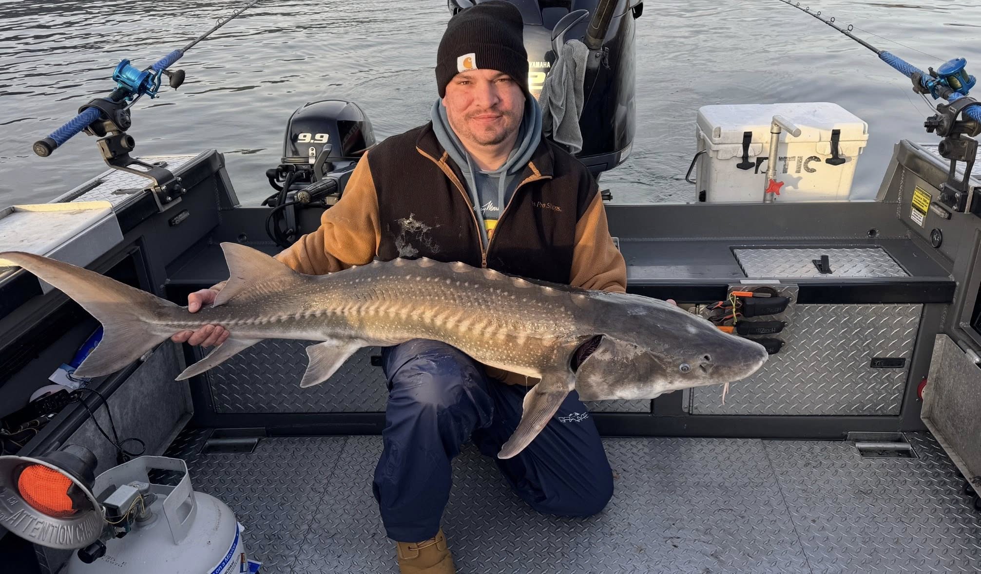 A fisherman on a boat holds a large sturgeon, showcasing what fish are in the Columbia River.