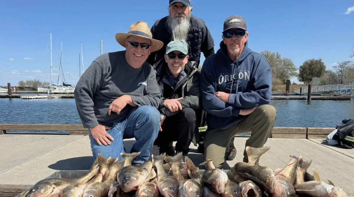 Four men smiling behind a large catch of walleye on a concrete dock, highlighting a successful day of Columbia River fishing.