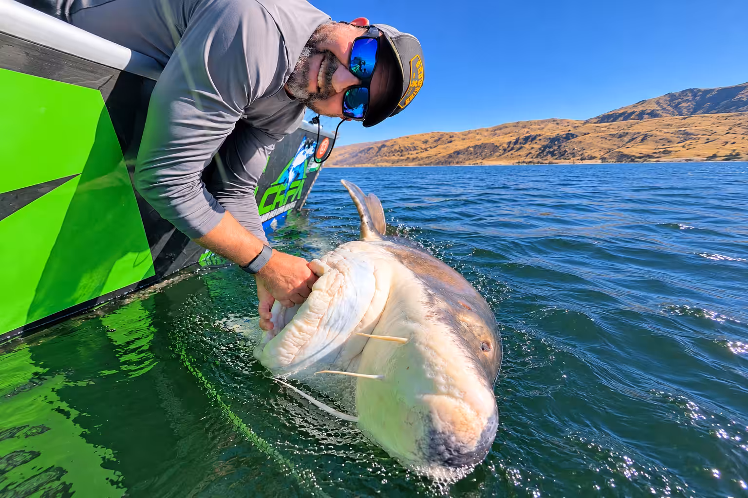 Buddy Dupell on a boat holding a massive white sturgeon alongside the water, demonstrating how big sturgeon get in the Columbia River.